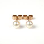 9 ct yellow gold pearl ear studs.