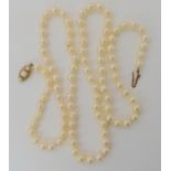 A long string of pearls with a 9ct gold pearl set clasp, length 75cm, weight 37gms Condition Report: