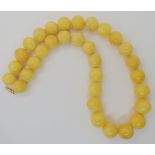 A string of large yellow amber beads with 9ct gold clasp, largest bead approx 20.3mm to smallest