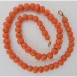 A string of coral beads, with gold plated clasp, largest bead approx 9.2mm x 6mm, to smallest 6.