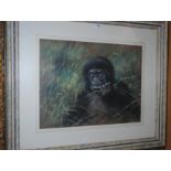 JOEL KIRK Gorilla, signed, pastel, 47 x 62cm Condition Report: Not available for this lot