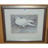 RALSTON GUDGEON RSW Pigeon, signed, watercolour, circa 1947, 28 x 37cm Condition Report: Not