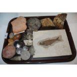 A tray lot of historical artifacts including Roman roof tile, flints etc Condition Report: Available