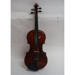 A two piece back violin 35.5 cm bearing label to the interior Luigi Salsedo, LIUTIA, fecit Italia