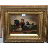 W E CROMPTON Poultry, signed, oil on board, 22 x 30cm and another (a pair) Condition Report: