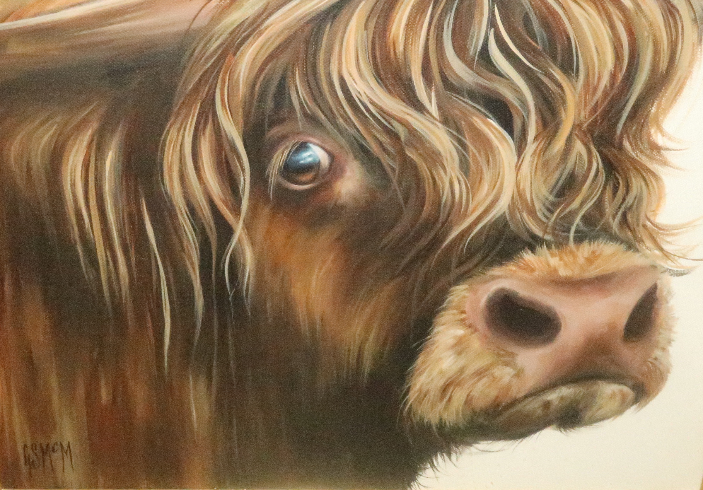 •GEORGINA MCMASTER Highland cow, monogrammed, acrylic on canvas, 35 x 44cm Condition Report: - Image 2 of 2