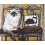 THORA CLYNE SSWA (SCOTTISH 1937-2020) CATS ON CUSHIONS Oil on canvas, signed, 41 x 48 cm (16 x 19)