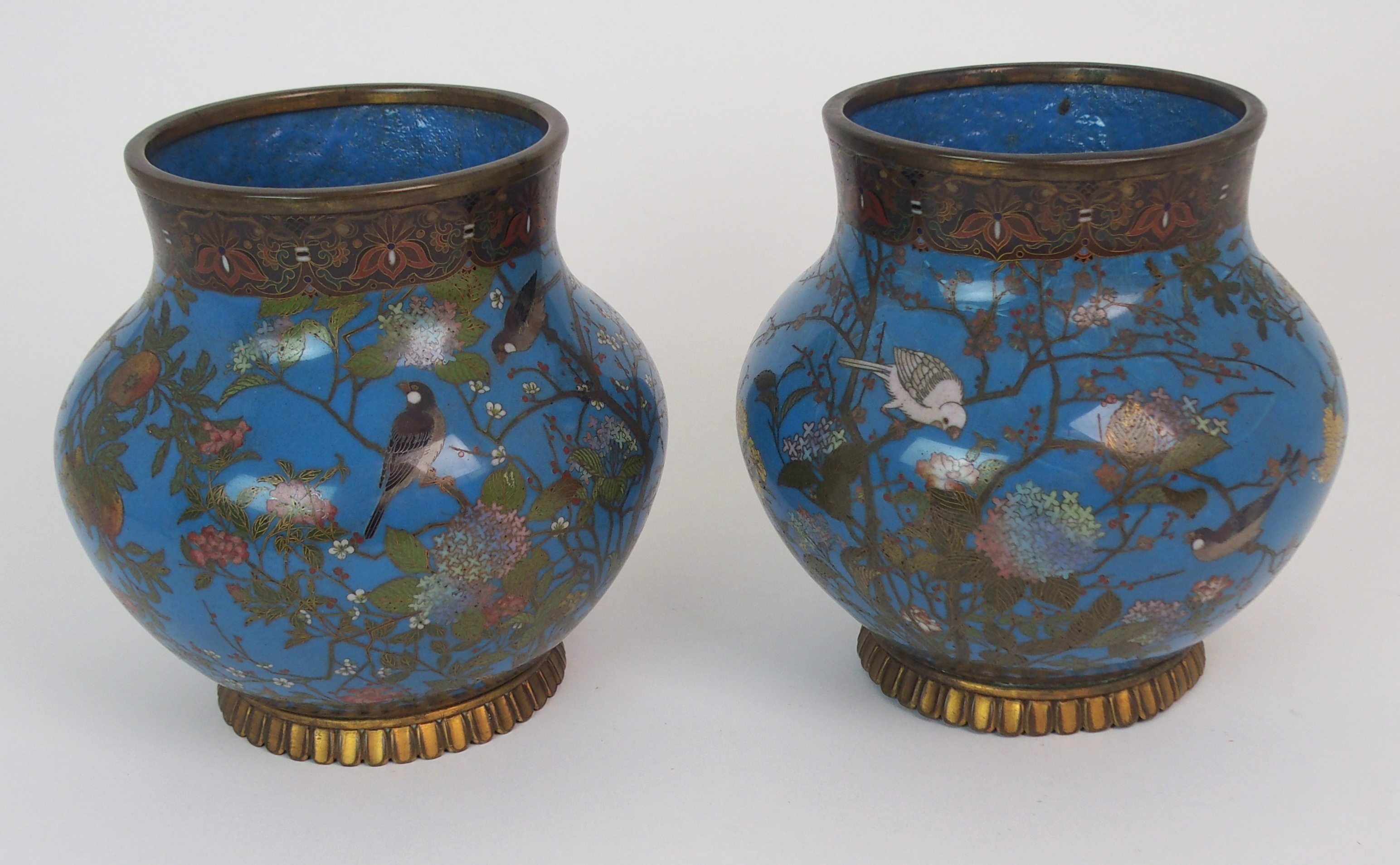 A PAIR OF CLOISONNE GLOBULAR VASES decorated with birds in flowering branches on a blue ground and