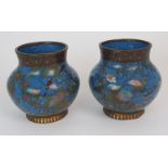 A PAIR OF CLOISONNE GLOBULAR VASES decorated with birds in flowering branches on a blue ground and