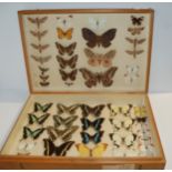 Two cased displays of butterflies and moths Condition Report: Available upon request