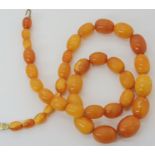 A string of amber coloured beads, largest bead 17mm x 13.5mm, smallest 9mm x 6.9mm, length 50cm,
