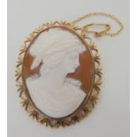 A 9ct gold mounted shell cameo brooch, 3.8cm x 4.7cm, weight 13.2gms Condition Report: Available