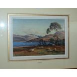 TOM CAMPBELL Sheep grazing, before a loch, signed, watercolour, 26 x 37cm Condition Report:
