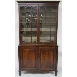 A 19TH CENTURY MAHOGANY DISPLAY CABINET with a pair of astragal doors enclosing three shelves, the