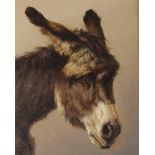 ITALIAN SCHOOL (19TH CENTURY) STUDY OF A DONKEY Oil on canvas, 30.5 x 25.5cm (12 x 10") Condition