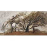 •ATTRIBUTED TO JAMES MORRISON RSA, RSW (SCOTTISH 1932-2020) TREE STUDY Ink and oil on panel board,