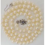 AN OPERA LENGTH OF PEARLS WITH AN 18CT SAPPHIRE AND DIAMOND CLASP the pearls are of a uniform size