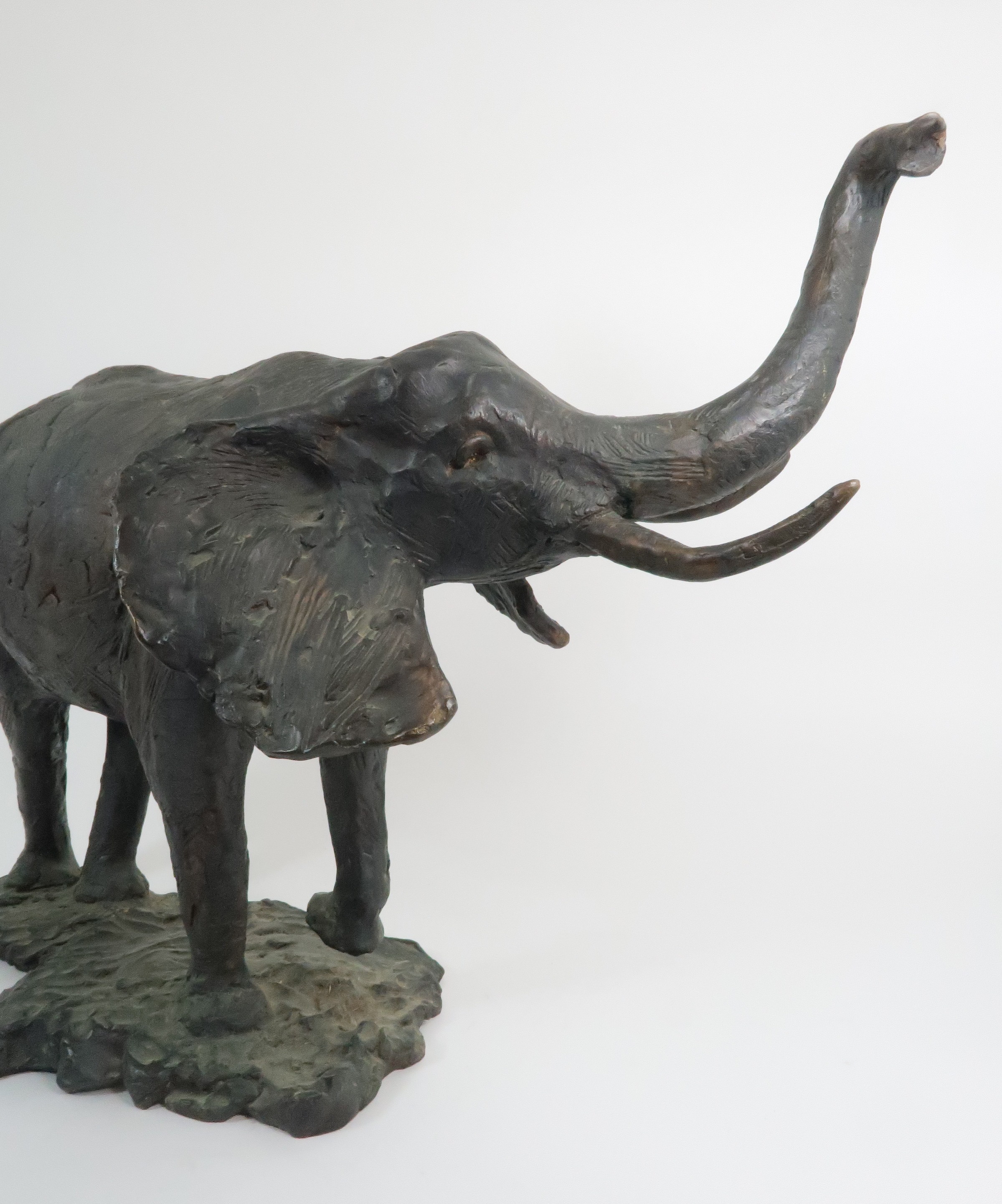 JANE HAMILTON (b. 1950) AFRICAN ELEPHANT BRONZE 47cm high, signed and number 1/12 Condition - Image 6 of 6