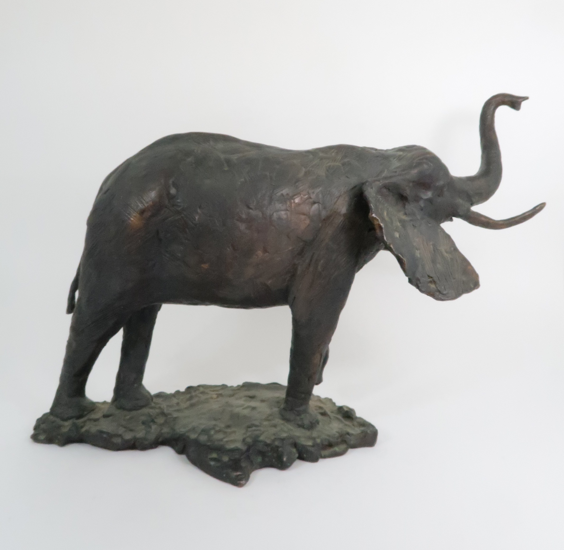JANE HAMILTON (b. 1950) AFRICAN ELEPHANT BRONZE 47cm high, signed and number 1/12 Condition - Image 5 of 6