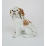 A 19TH CENTURY MEISSEN FIGURE OF A BOLOGNESE TERRIER the small dog seated on its haunches, with