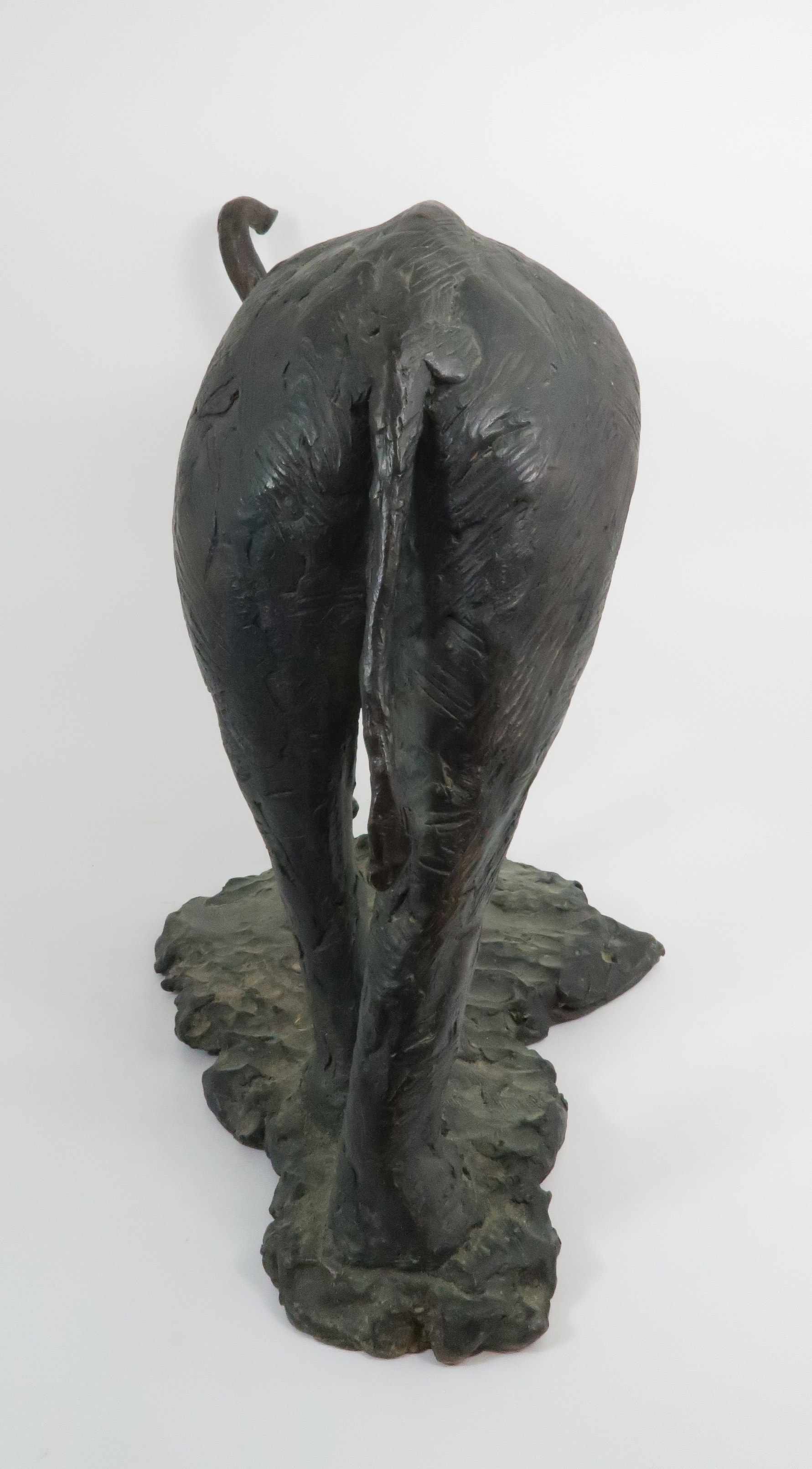 JANE HAMILTON (b. 1950) AFRICAN ELEPHANT BRONZE 47cm high, signed and number 1/12 Condition - Image 4 of 6