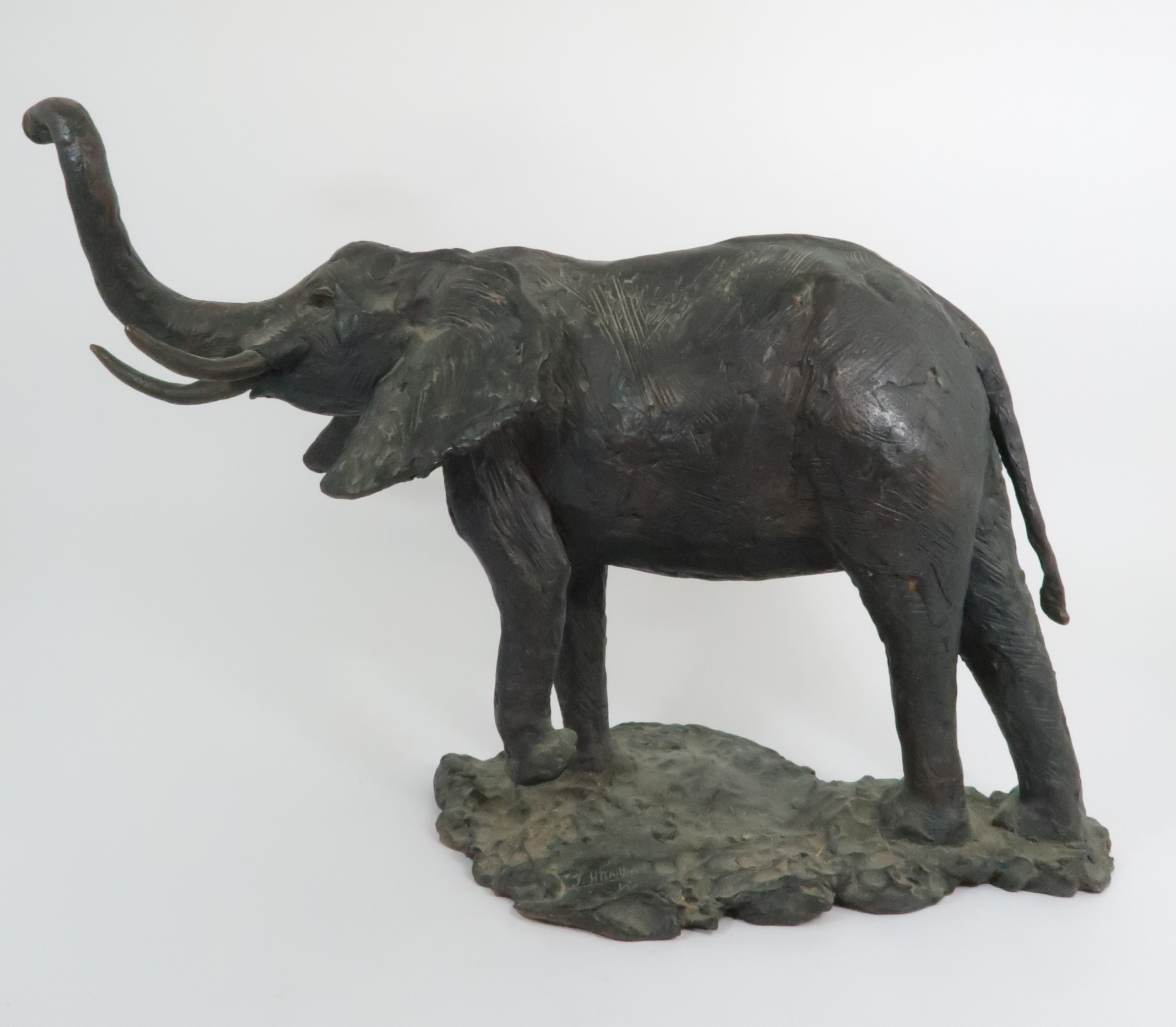 JANE HAMILTON (b. 1950) AFRICAN ELEPHANT BRONZE 47cm high, signed and number 1/12 Condition