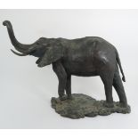 JANE HAMILTON (b. 1950) AFRICAN ELEPHANT BRONZE 47cm high, signed and number 1/12 Condition