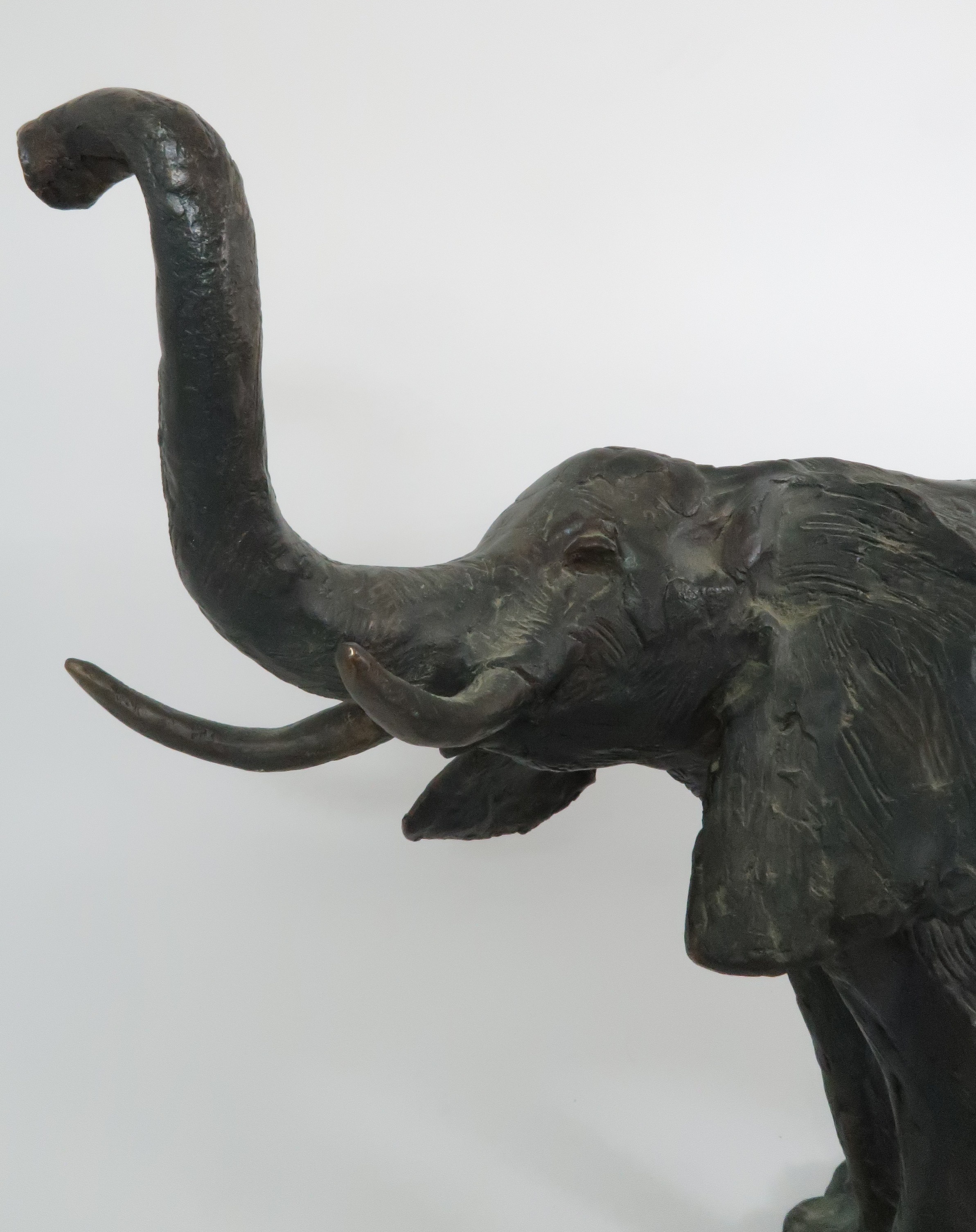 JANE HAMILTON (b. 1950) AFRICAN ELEPHANT BRONZE 47cm high, signed and number 1/12 Condition - Image 3 of 6