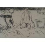 Harry Becker (British 1865-1928) Gathering Potatoes, Holland Lithograph