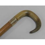 A horn-handled and engraved walking cane of Cumbrian interest