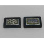 Two 19th century Italian micro-mosaic panels