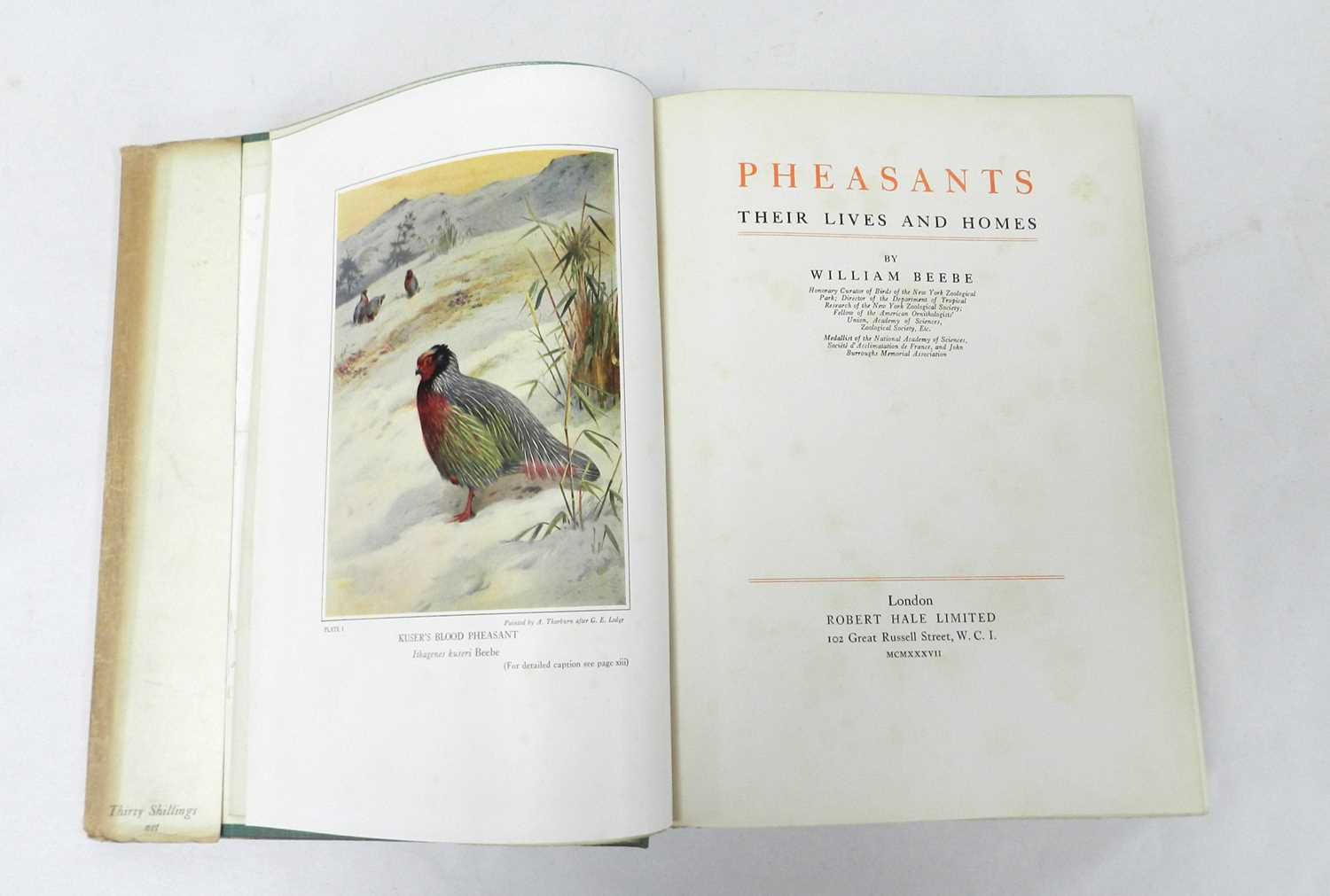 BEEBE, William, Pheasants, their lives and Homes. 2 vols in 1, 1937. In d/w which has pictorial - Image 2 of 2