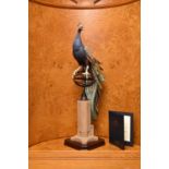 A Border Fine Arts cast resin, metal and composite stone sculpture of a peacock, 'Regal