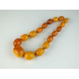 A graduated oval amber bead necklace