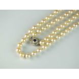 A single strand uniform cultured pearl rope necklace