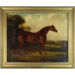 Circle of George Morland (1763-1804) Chestnut Horse in a Field