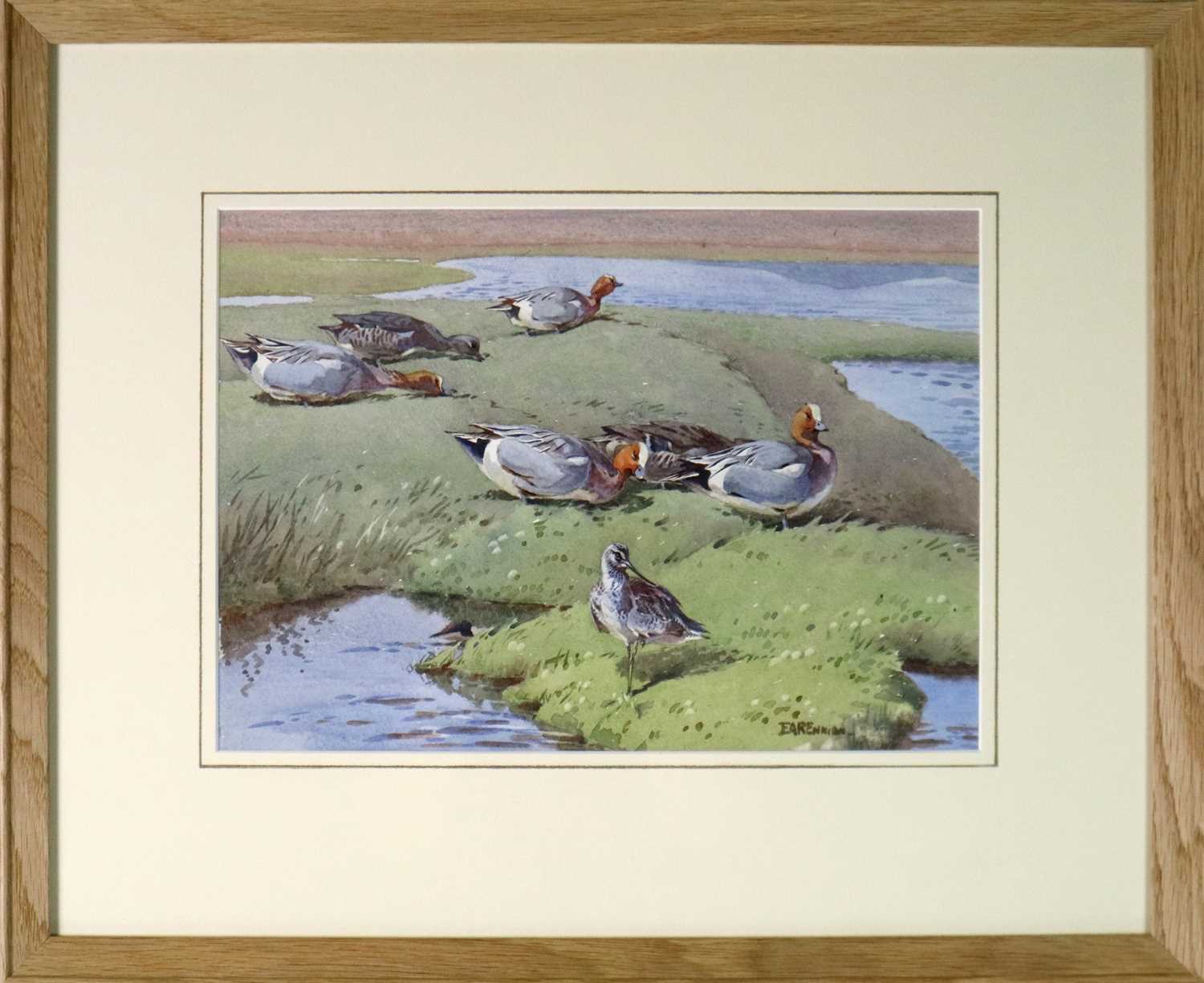 Eric Arthur Roberts Ennion (1900-1981) Wigeon Grazing by Loch Garry - Image 2 of 8