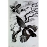 Charles Frederick Tunnicliffe OBE RA (1901-1979) Magpie Chase