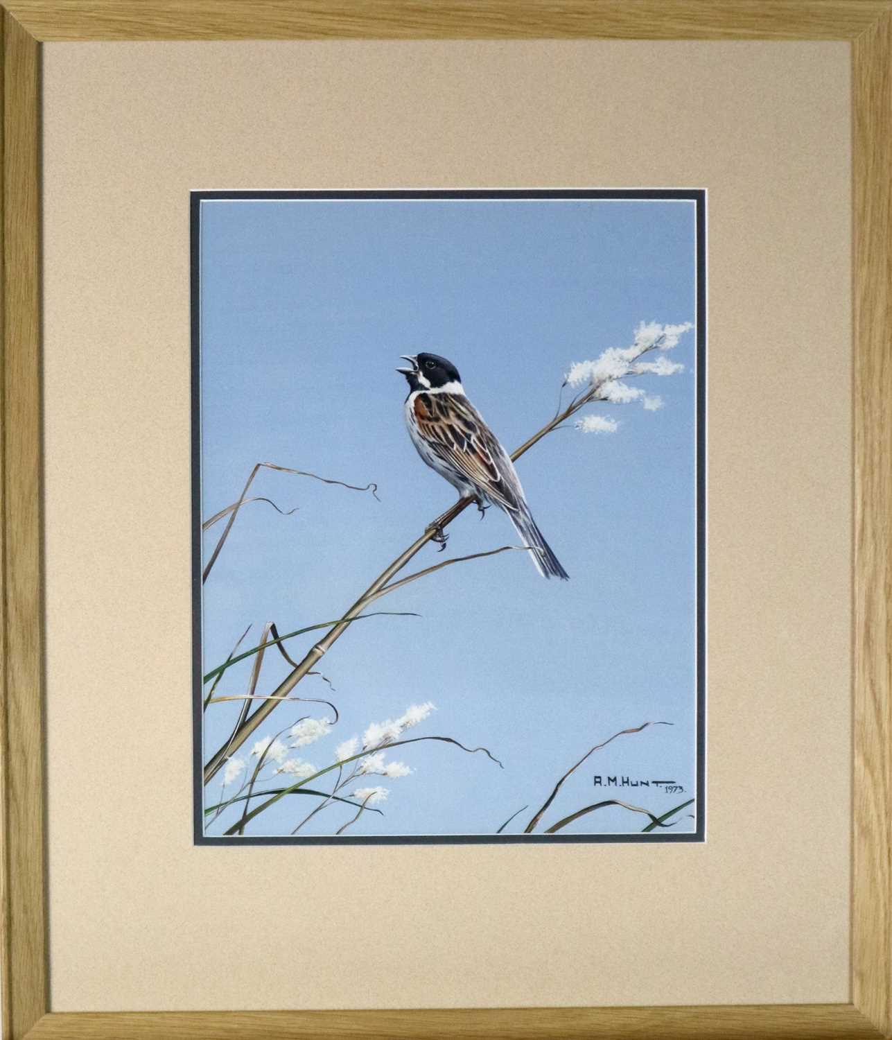 Alan M Hunt (b.1947) Reed Bunting - Image 2 of 4