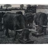 Charles Frederick Tunnicliffe OBE RA (1901-1979) Bullocks