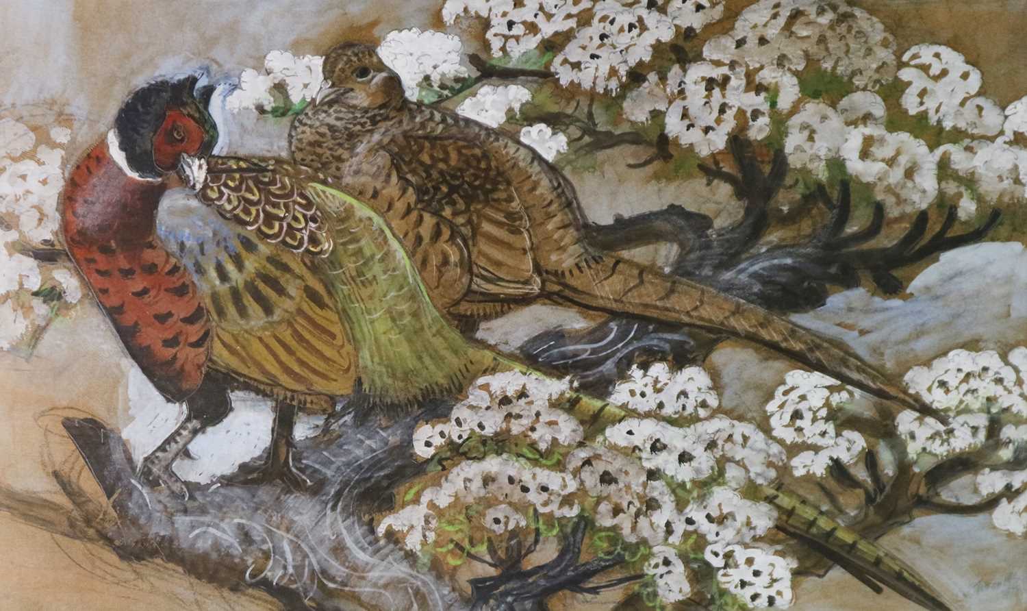 Charles Frederick Tunnicliffe OBE RA (1901-1979) Pheasants in Blossom