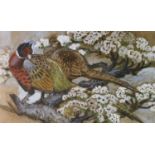 Charles Frederick Tunnicliffe OBE RA (1901-1979) Pheasants in Blossom