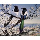 Charles Frederick Tunnicliffe OBE RA(1901-1979) Magpies in Blossom