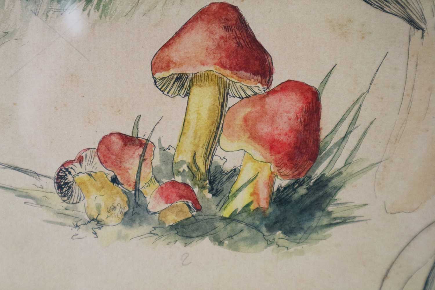 Gerardus van Spaendonk (Dutch 1746-1822) Studies of Mushrooms - Image 4 of 4