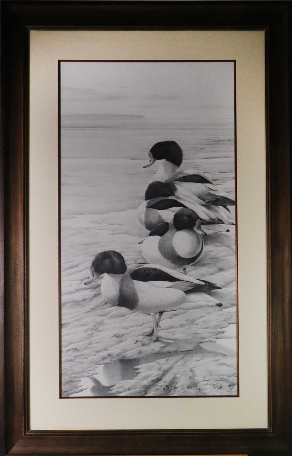 Terence Lambert (b.1951) Shelducks on the Dovey Estuary - Image 2 of 4