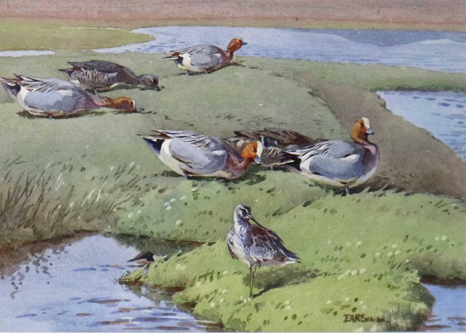 Eric Arthur Roberts Ennion (1900-1981) Wigeon Grazing by Loch Garry