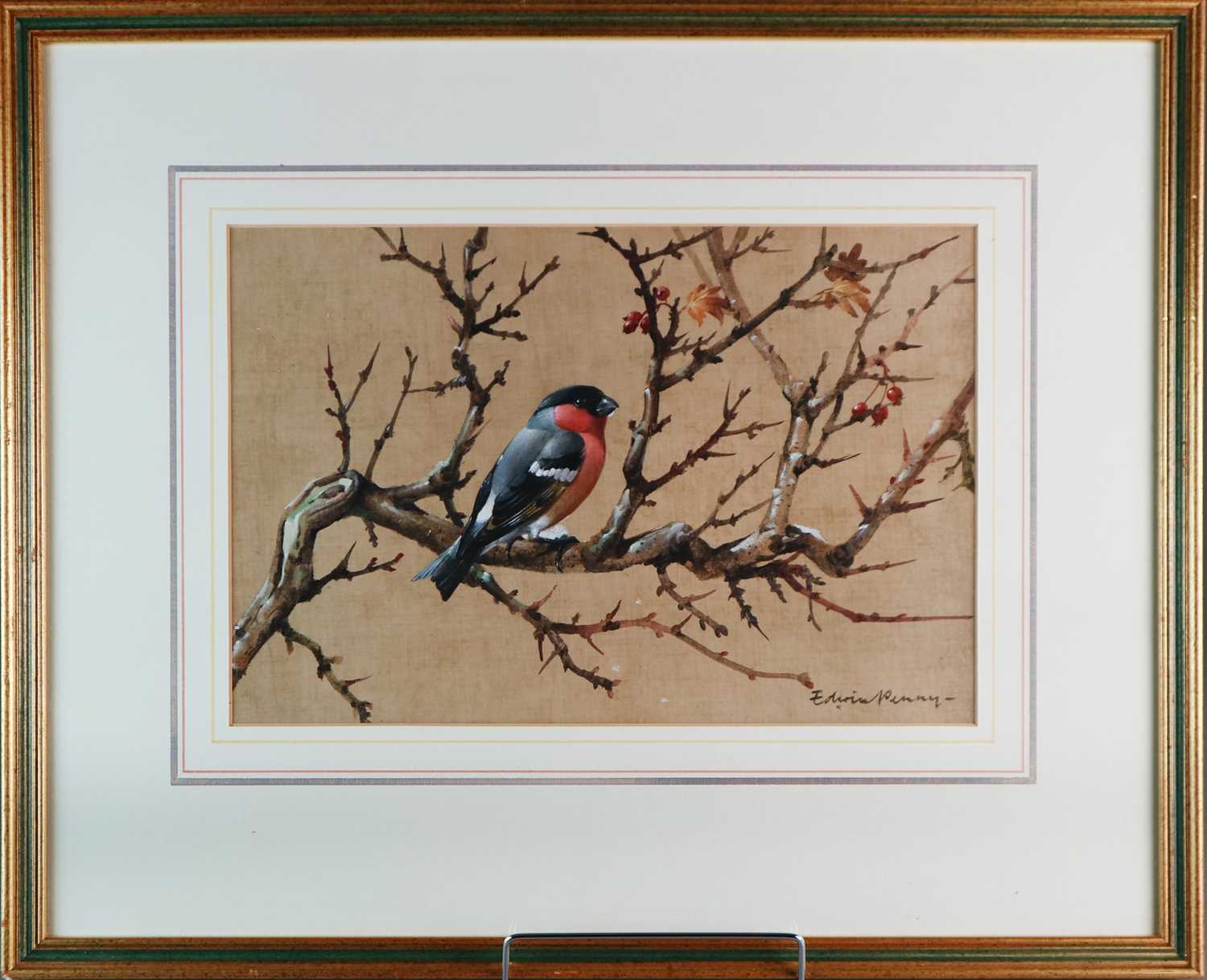 Edwin Penny (1930-2016) Bullfinch on Hawthorn - Image 2 of 3