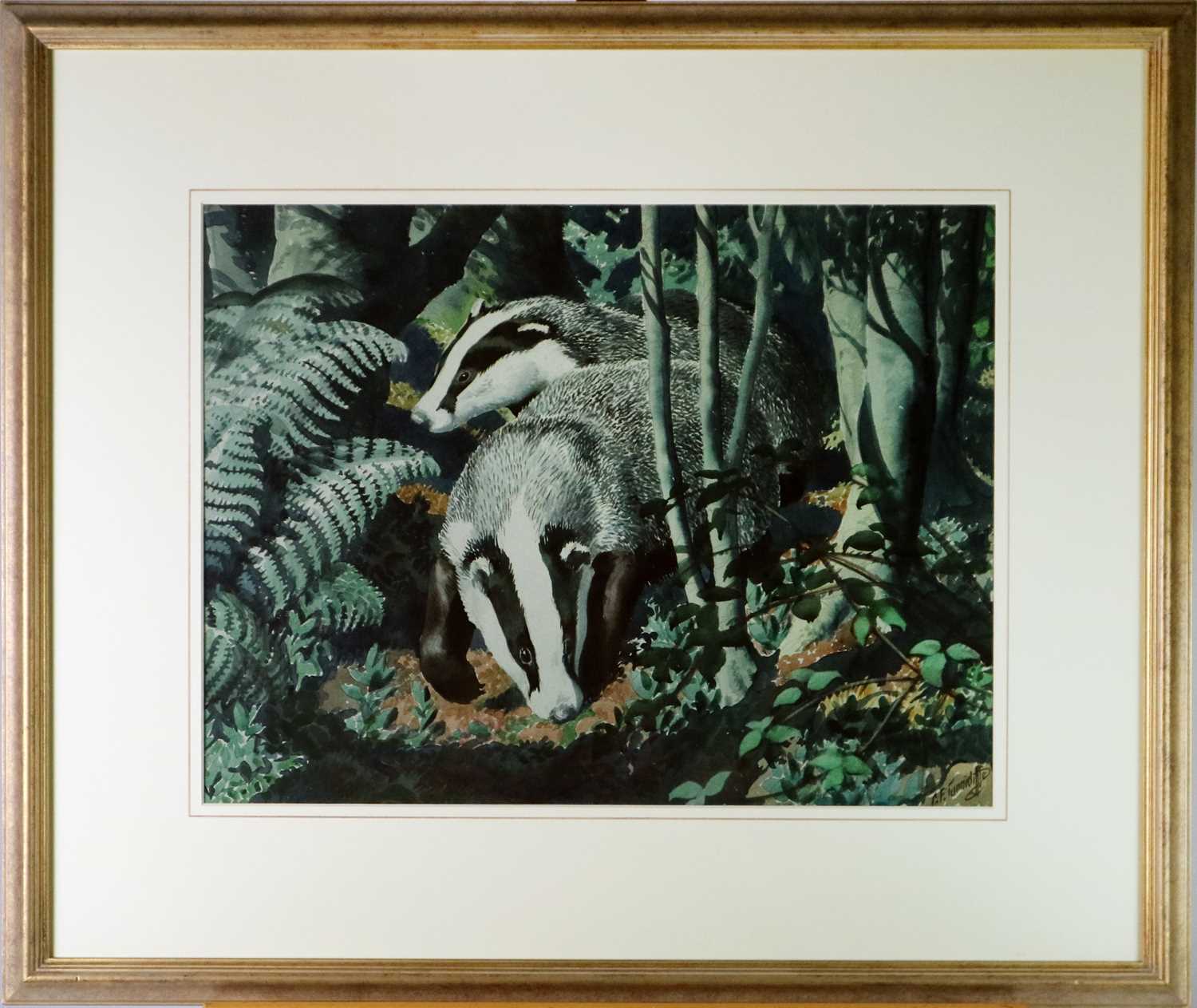 Charles Frederick Tunnicliffe OBE RA (1901-1979) Wildwood - Image 2 of 4