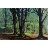 John Shimmin (British, b.1933), Pair of Woodland Landscapes with Deer