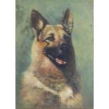 Gerald V. Gadd (British, 20th century), portrait of an Alsatian